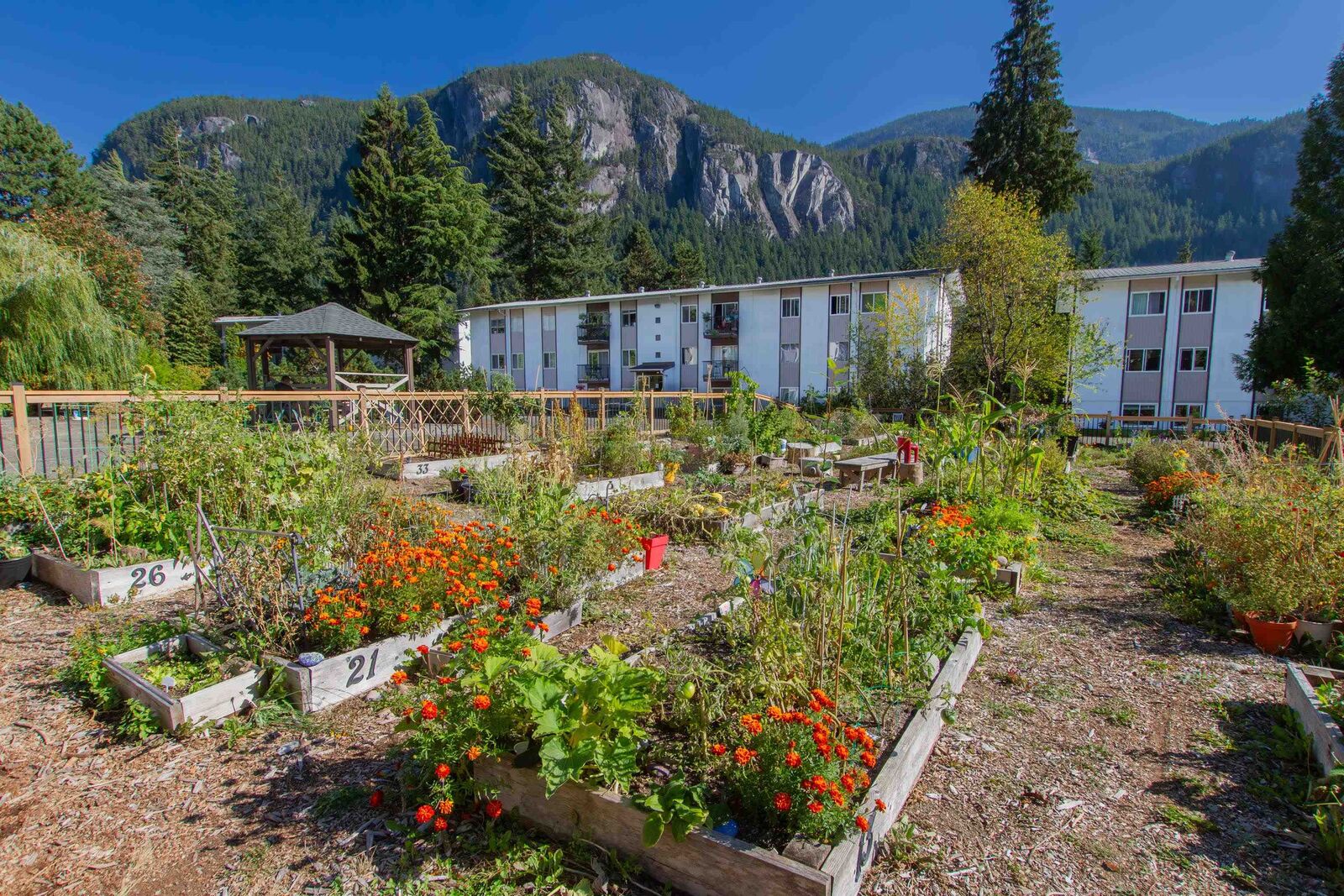 Property Photo: 38179 Westway Avenue 92 BC V8B 0Y4