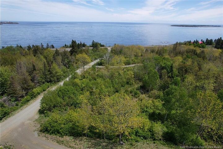 - Wellington Drive — photo 1