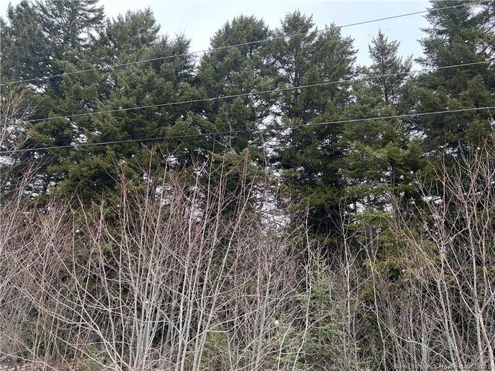 Property Photo:  Lot 26-2 Backland Road  NB E5N 1E2 