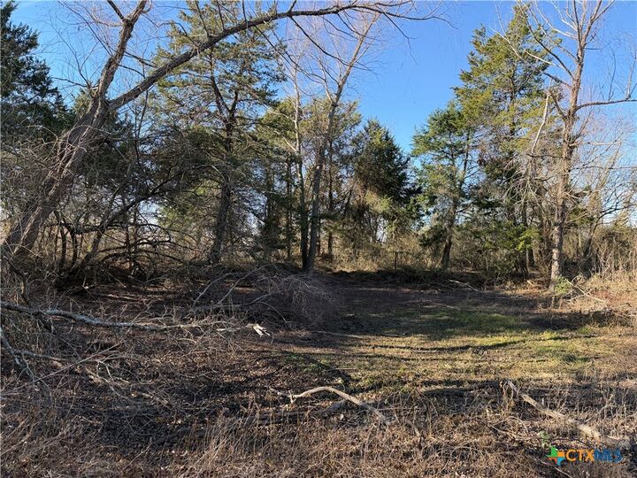 Property Photo:  Tbd County Road 925 Road  TX 76667 