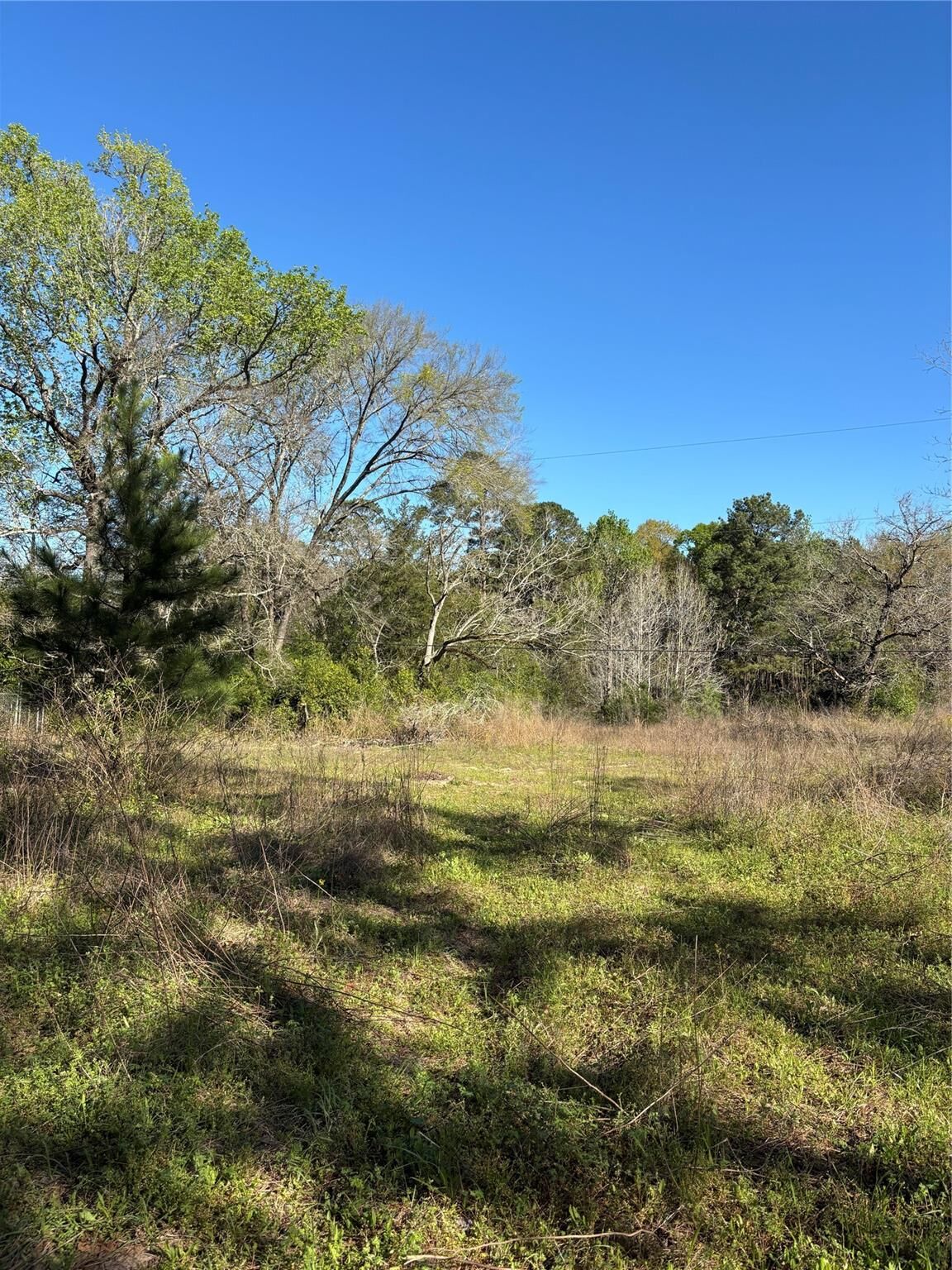 Property Photo:  373 Johnson Road  TX 77320 