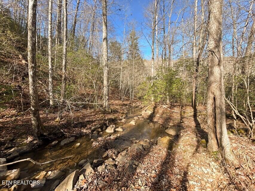 Property Photo:  0 Deerhead Rd  TN 37327 