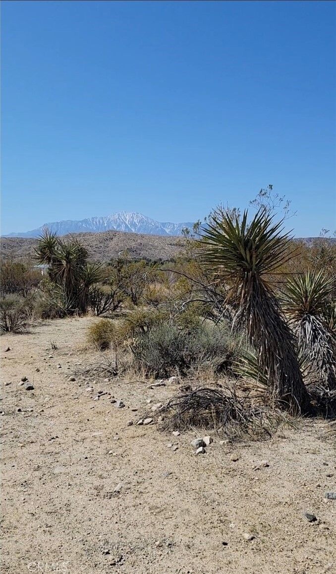 Property Photo: 0 Palo Verde CA 92256