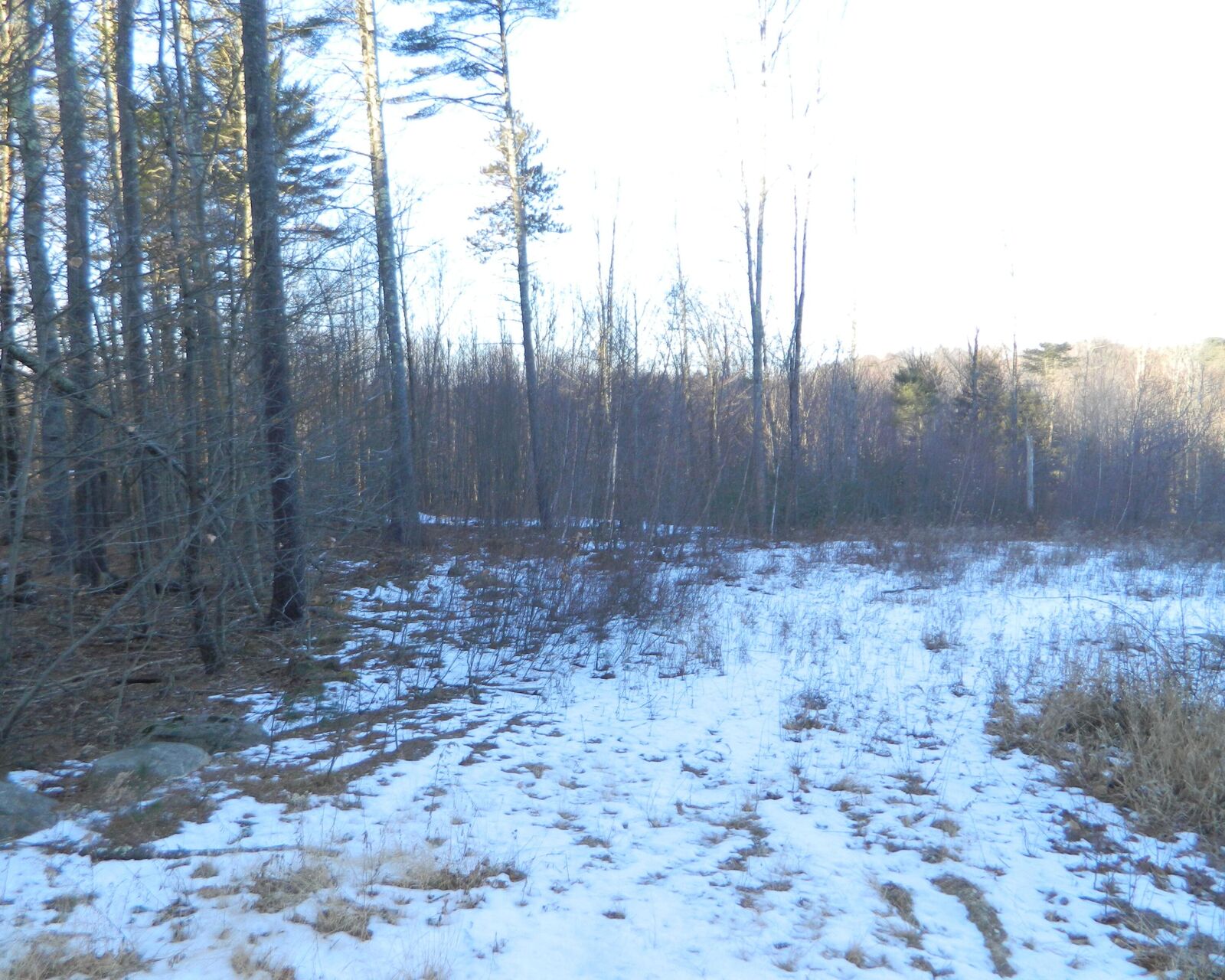 Property Photo:  R6-41-S6 Ridley Road  ME 04083 