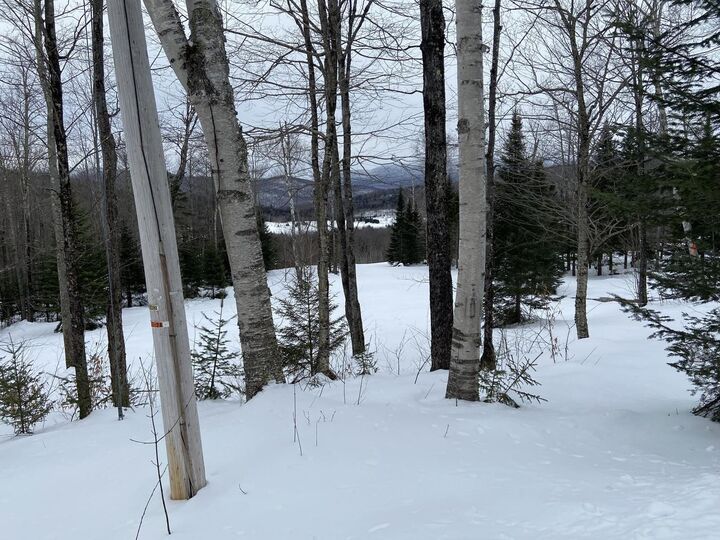 Property Photo:  48 Alberts Lane  VT 05674 