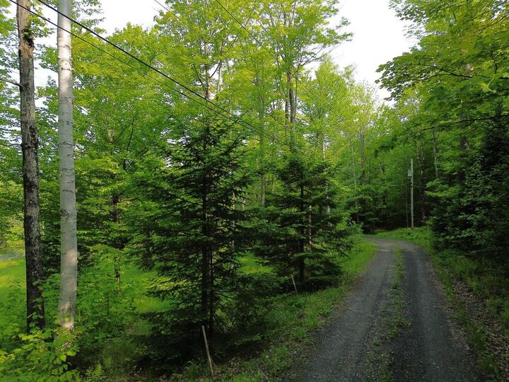 Property Photo:  48 Alberts Lane  VT 05674 