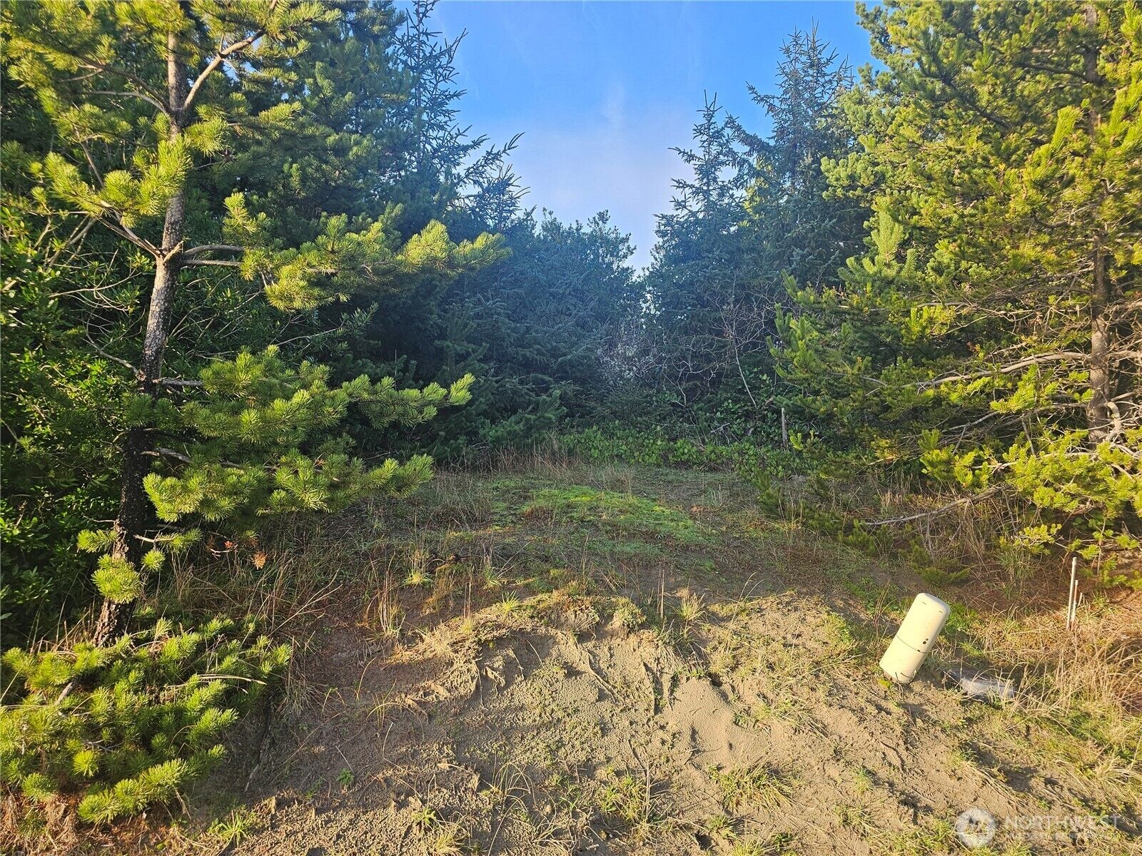 Property Photo:  276 S Wynoochee Drive SW  WA 98569 