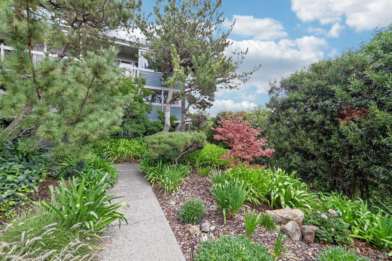 Property Photo:  290 Via Casitas 206  CA 94904 