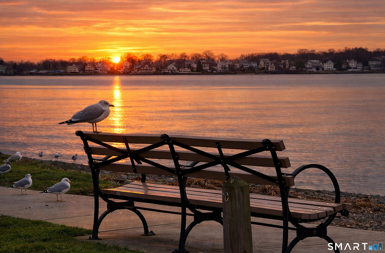 Property Photo:  24 Woodward Avenue Apt 46  CT 06512 