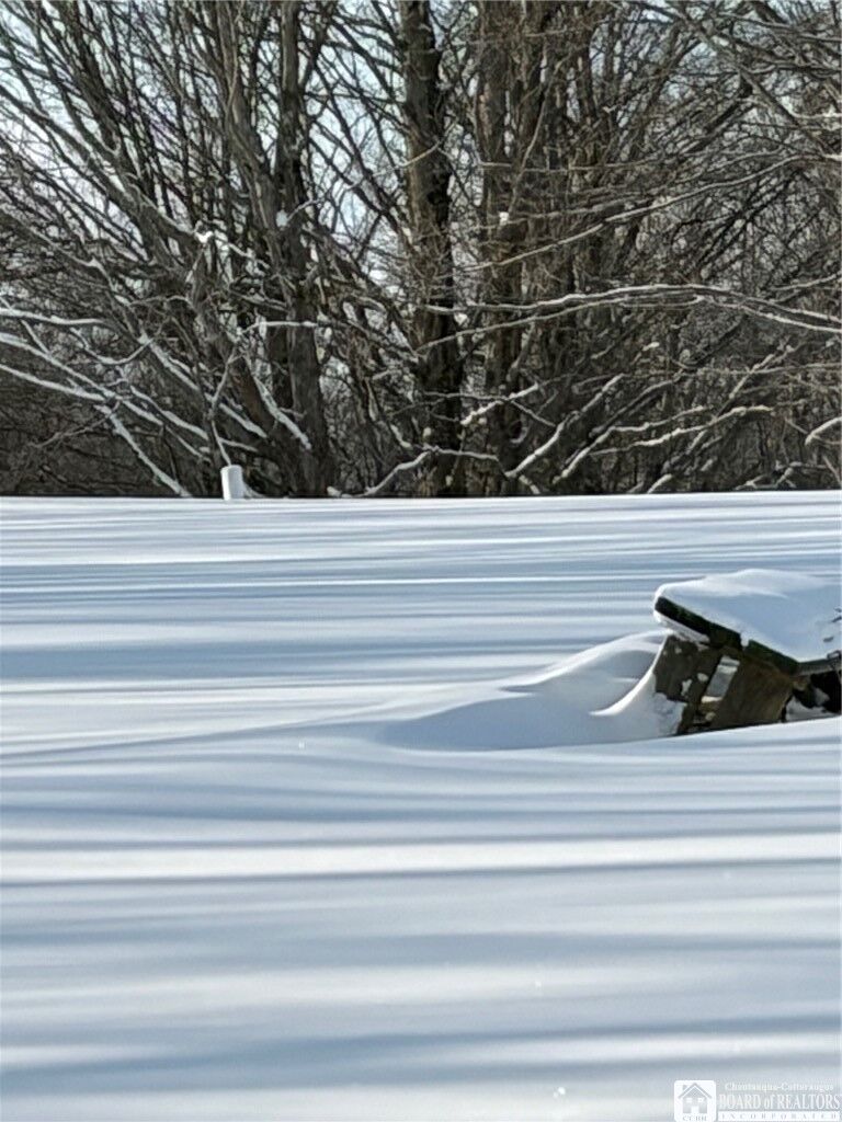 Property Photo:  3833 Sherman Ripley Road  NY 14781 