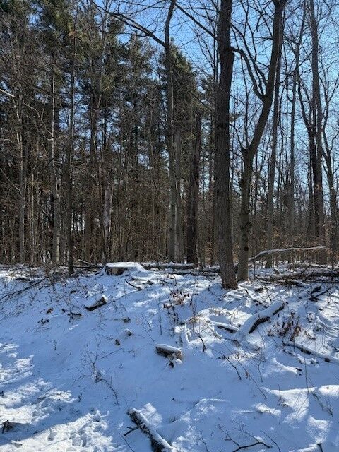 Property Photo: 0 Connecticut Hill Rd Road NY 14867