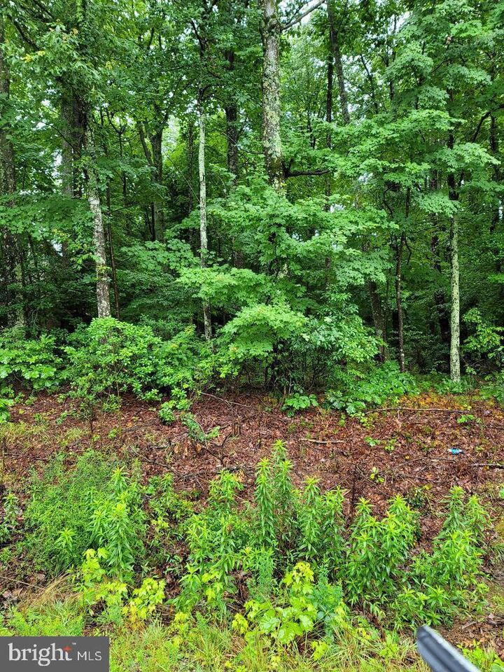 Property Photo:  Lot 18 Matilda Lane  VA 22520 