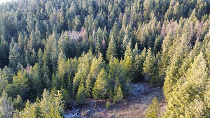 Property Photo:  L6 B1 Kelso Woods Dr  ID 83801 