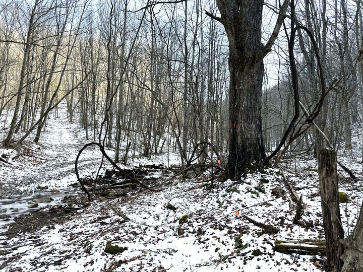 Property Photo:  Toms Run  WV 24966 