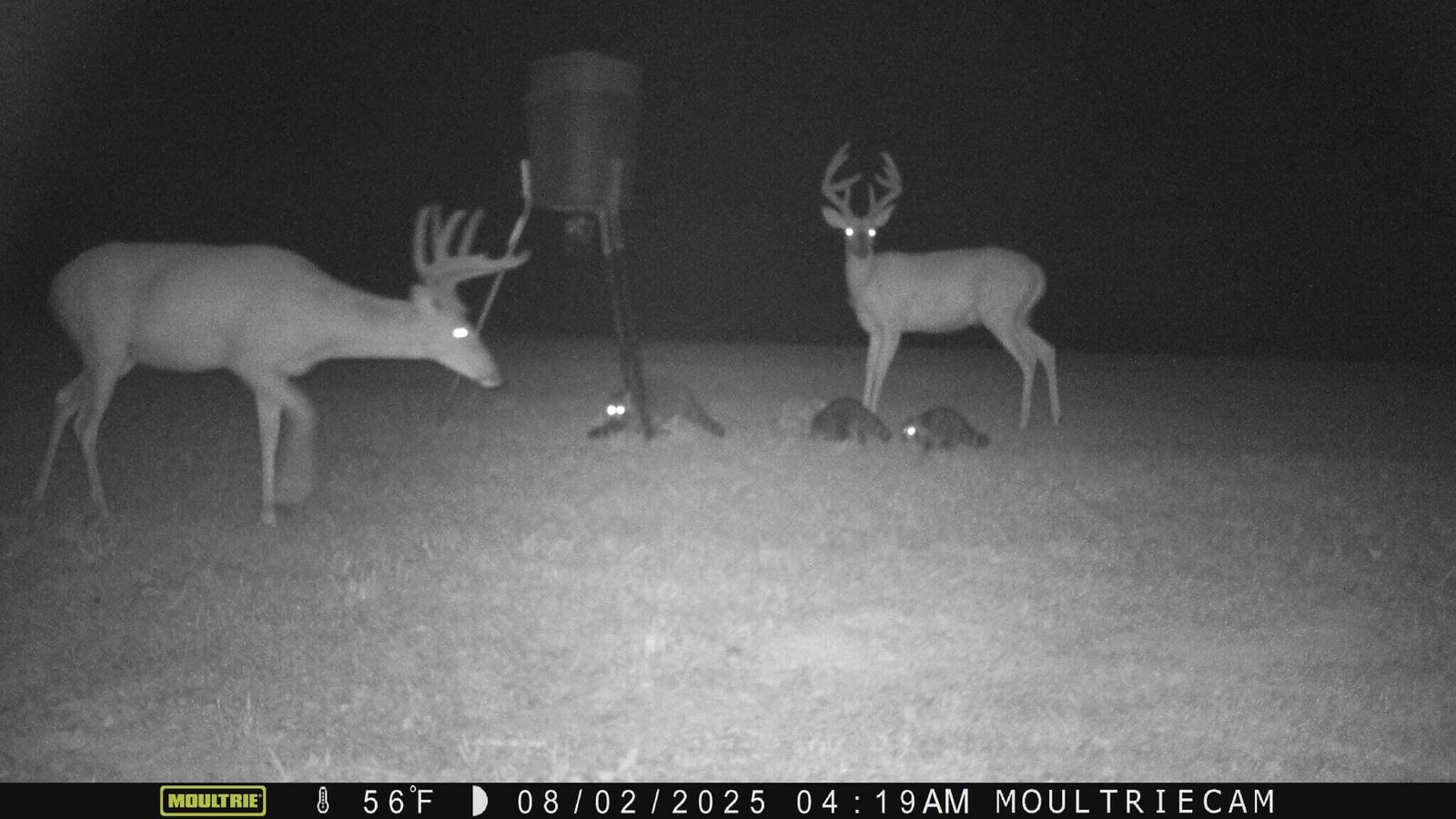 Property Photo:  1218 Ray Williams Road  KY 42753 