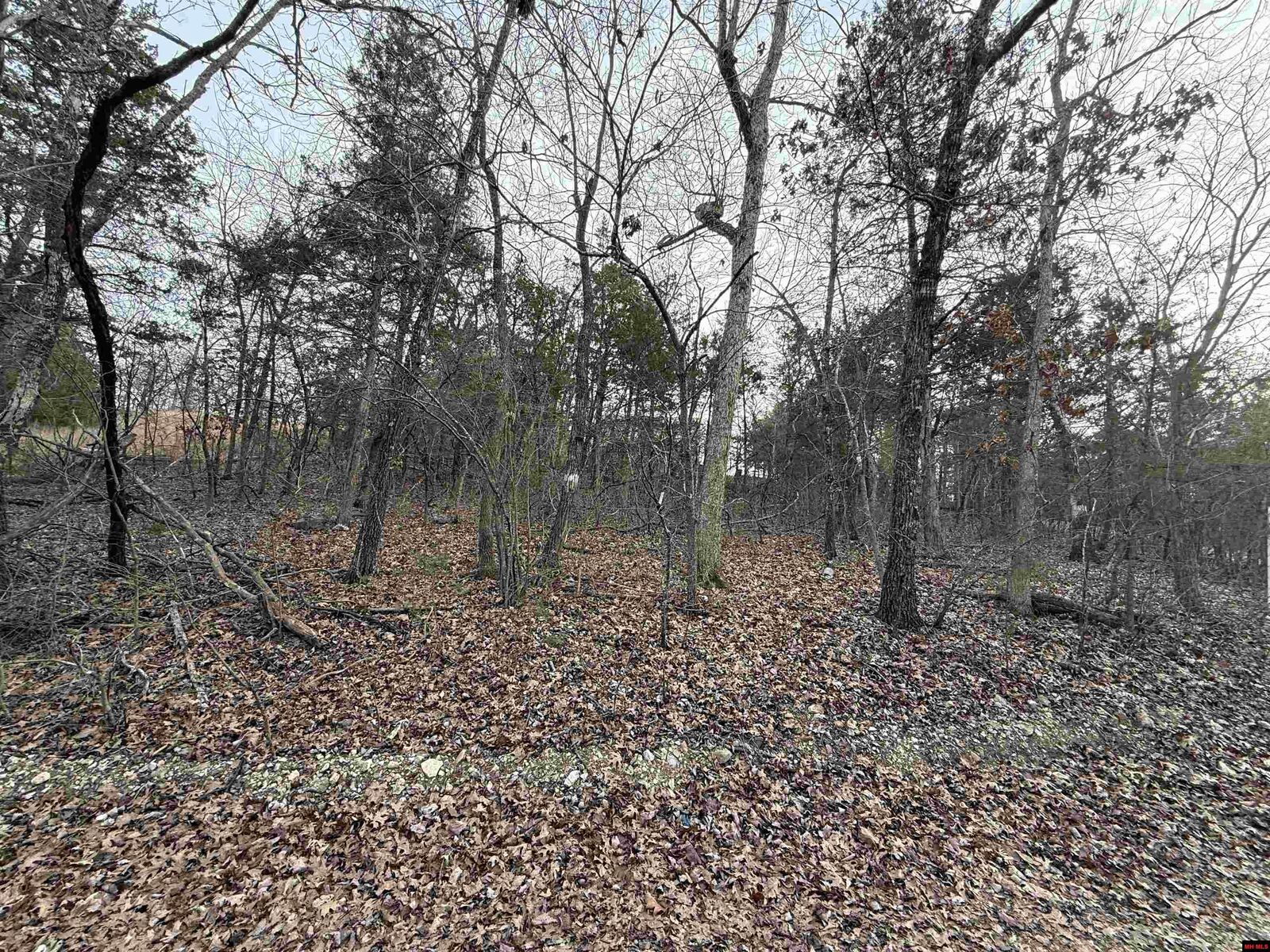 Property Photo:  775-01692-000 Mallard Drive  AR 72630 
