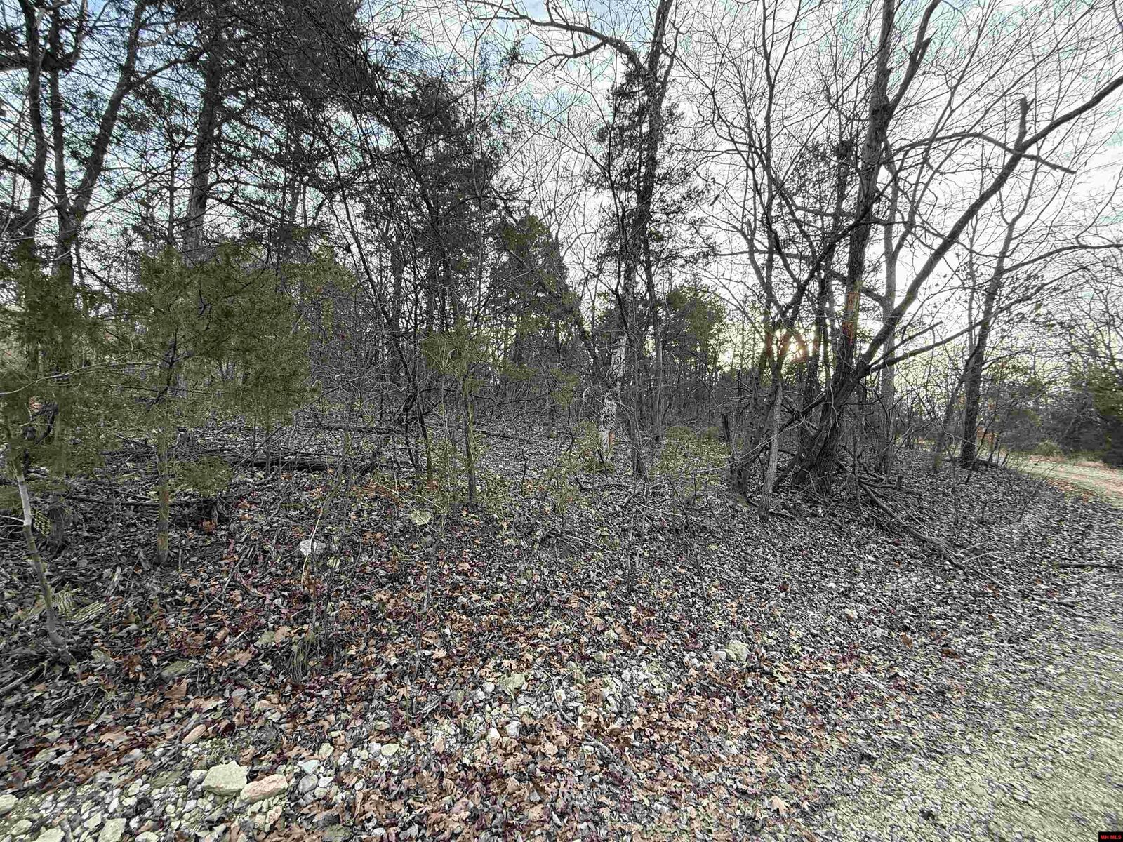 Property Photo:  775-01692-000 Mallard Drive  AR 72630 