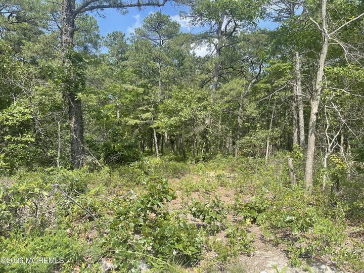 Property Photo:  1463 Route 539  NJ 08087 