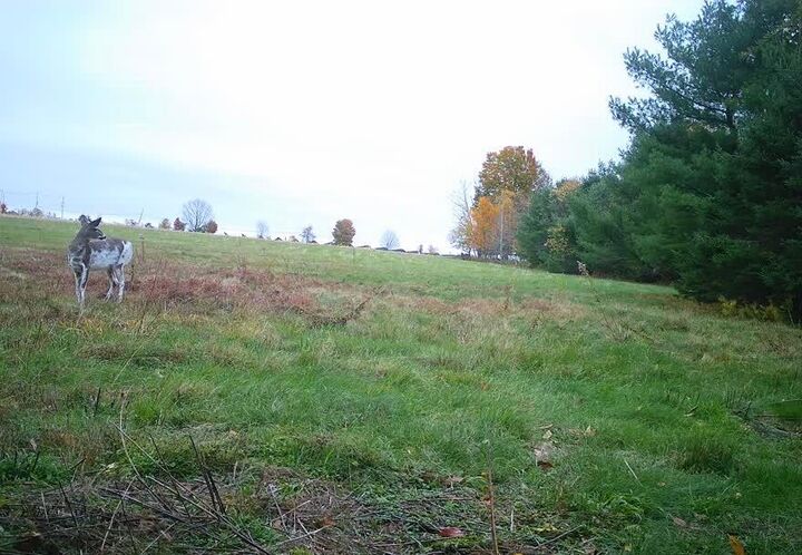 Property Photo:  16A Pooler Road  ME 04967 