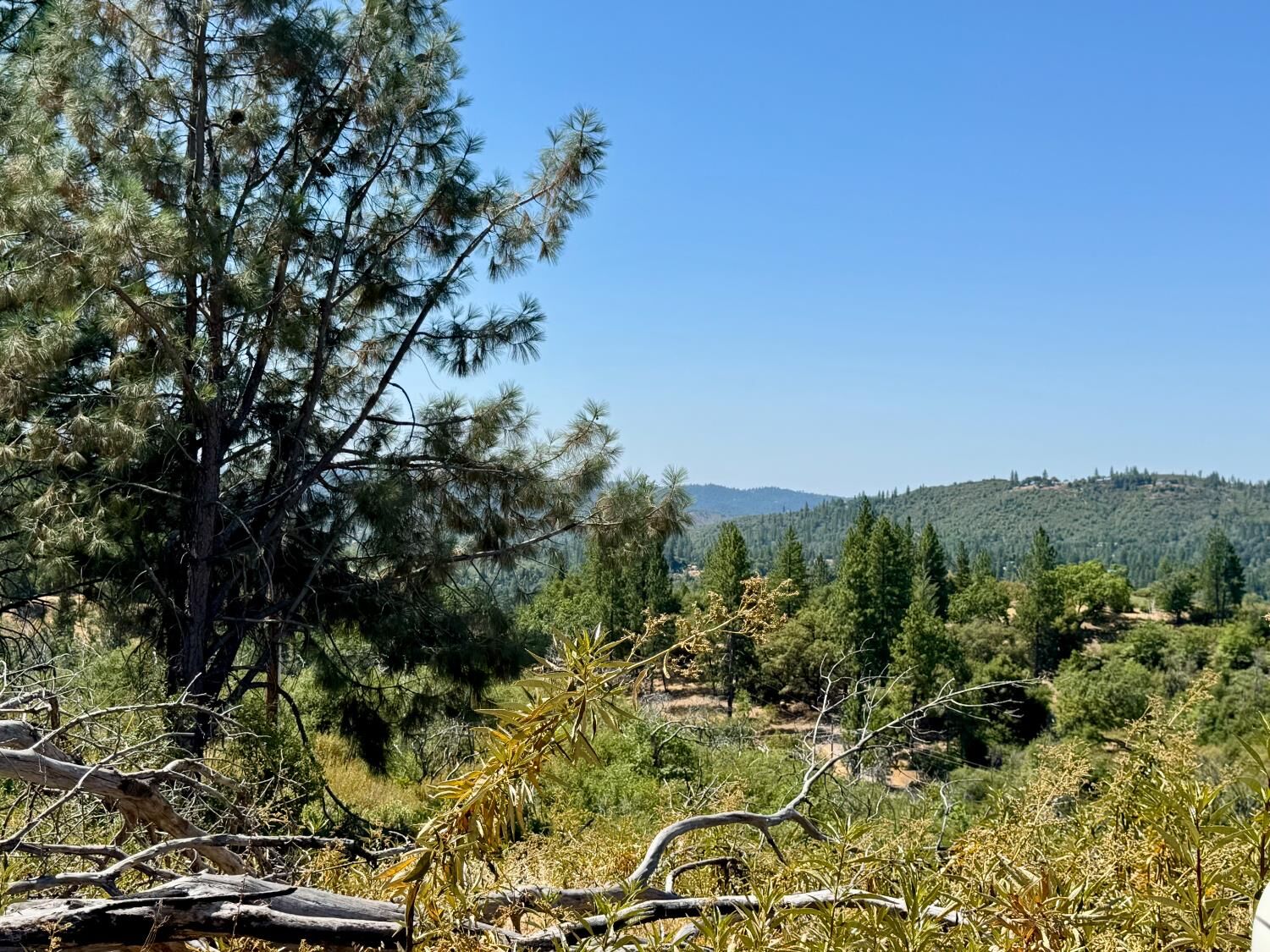 Property Photo:  9055 Rodesino Road  CA 95246 