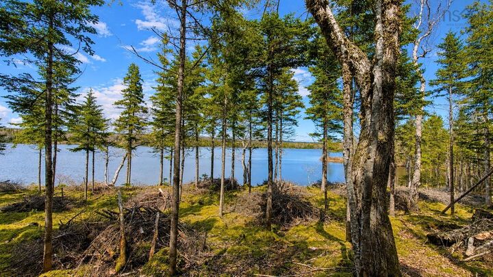 Property Photo:  Lot 4 Highway 4  NS B0E 1V0 