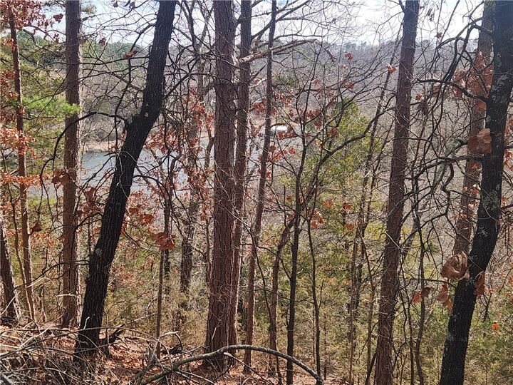 Property Photo:  Huckleberry Hills Road  AR 72756 