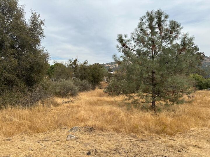 Property Photo:  0 Jim Bowie Court  CA 93614 