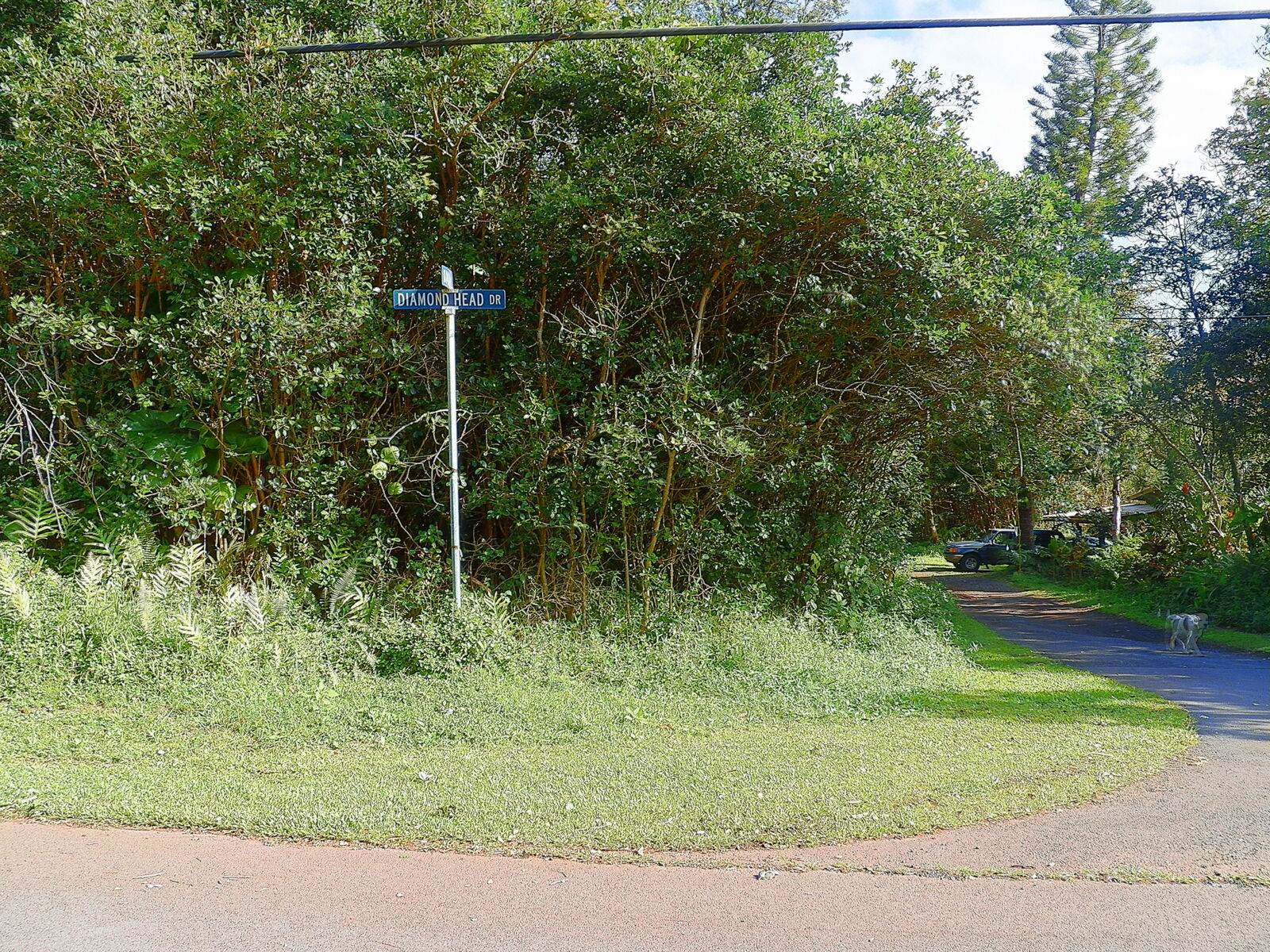 Property Photo:  Diamond Head Dr  HI 96778 