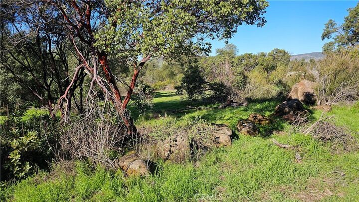 Property Photo:  3631 Eureka Avenue  CA 95422 