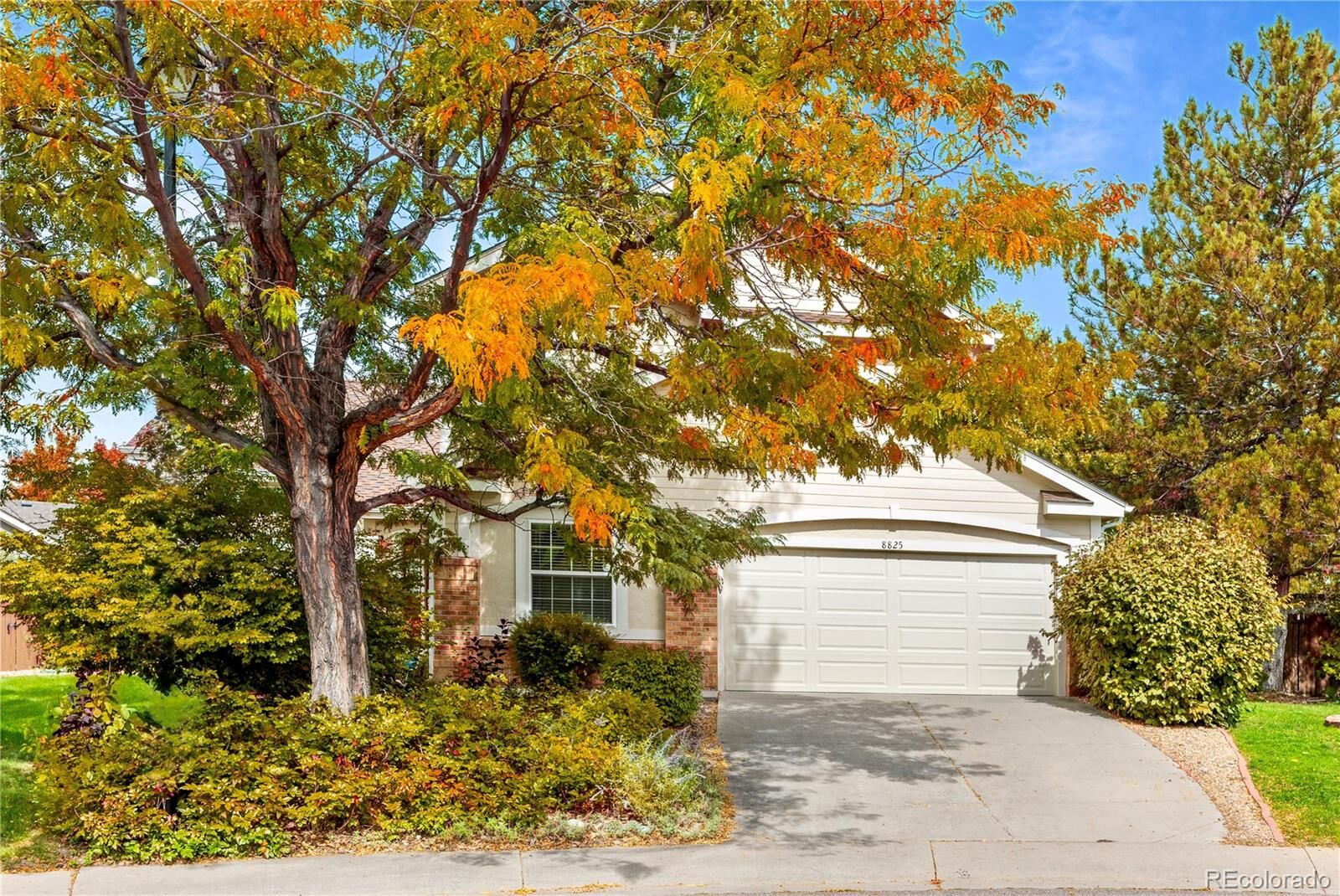 Property Photo:  8825 Fairview Oaks Place  CO 80124 