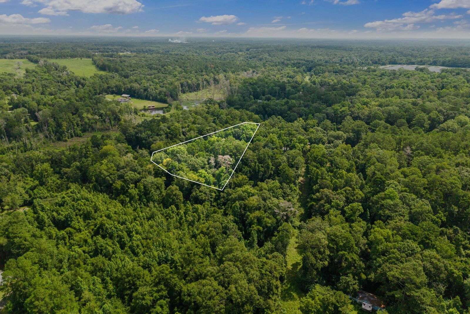 Property Photo:  X Millwood Drive  FL 32333 