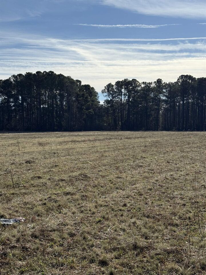 Property Photo: Lot 8 Johnson Shelley Rd. SC 29526