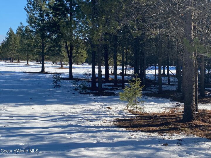 Property Photo:  Nka Akin Back Ranch Rd  ID 83801 