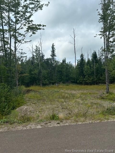 Property Photo: Lot 12-03 Robby Street NB E3G 8B4