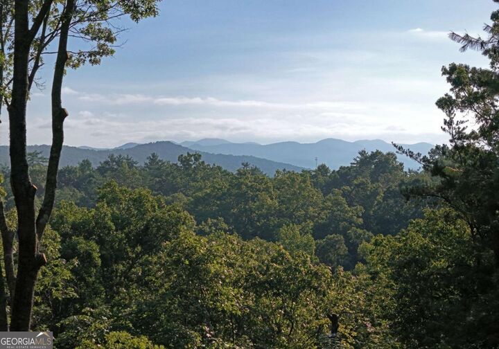 Property Photo: 975 Bunker Hill Road GA 30512