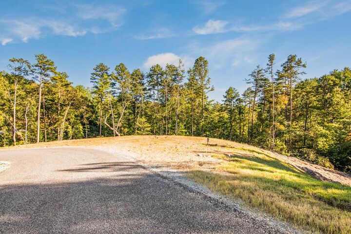 Property Photo:  Lot 183 Canoe Point  GA 30540 