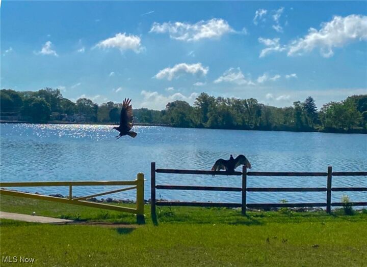 Property Photo: 3462 Dollar Drive OH 44319