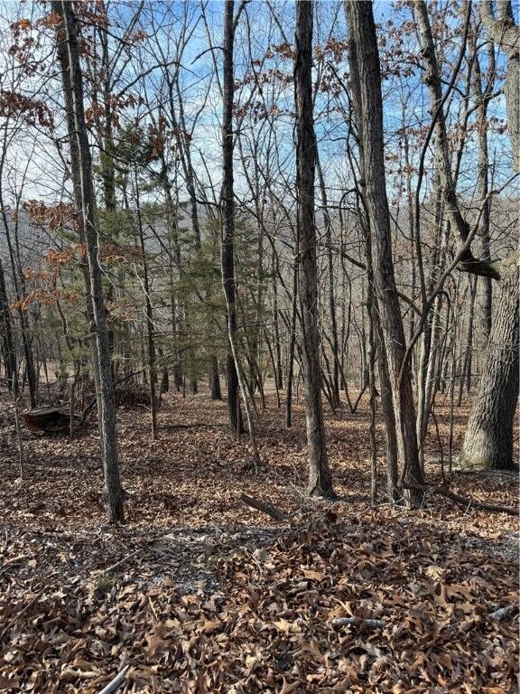 Property Photo:  Lot 76 Shady Glen Road  AR 72732 