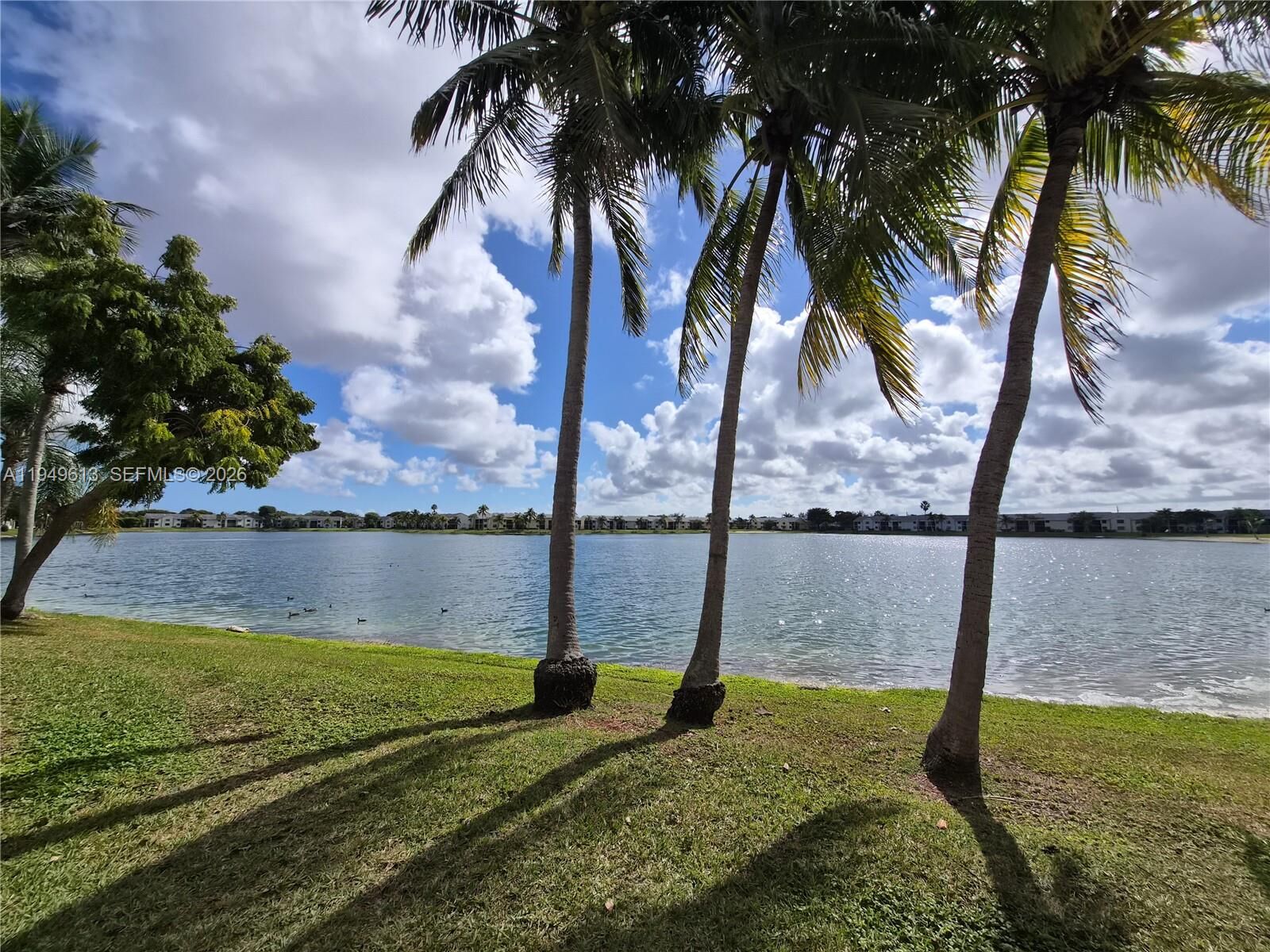 Property Photo: 800 Independence Dr 800F FL 33034