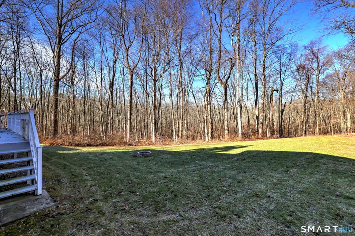 Property Photo:  84 Chelsea Court  CT 06477 