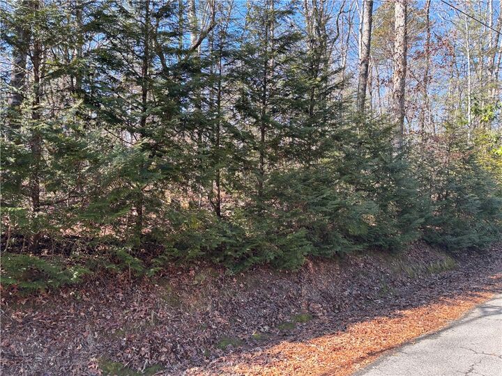 Property Photo:  686 W Cove Drive  SC 29664 