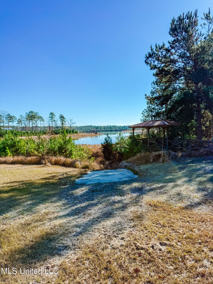 Property Photo:  1252 Lake View Drive  MS 39451 