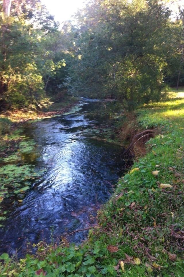 Property Photo:  1192 Austin Cir  TN 38464 