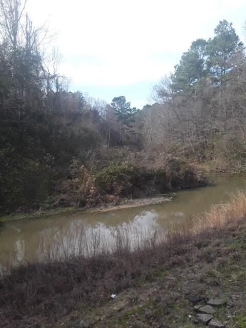 Property Photo: Tbd Hwy 51 Highway LA 70436