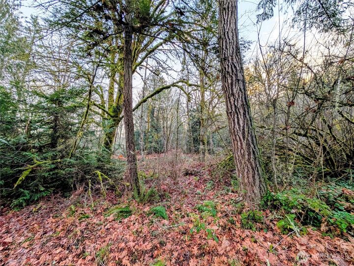 Property Photo:  0  Whiteman Road SW  WA 98349 