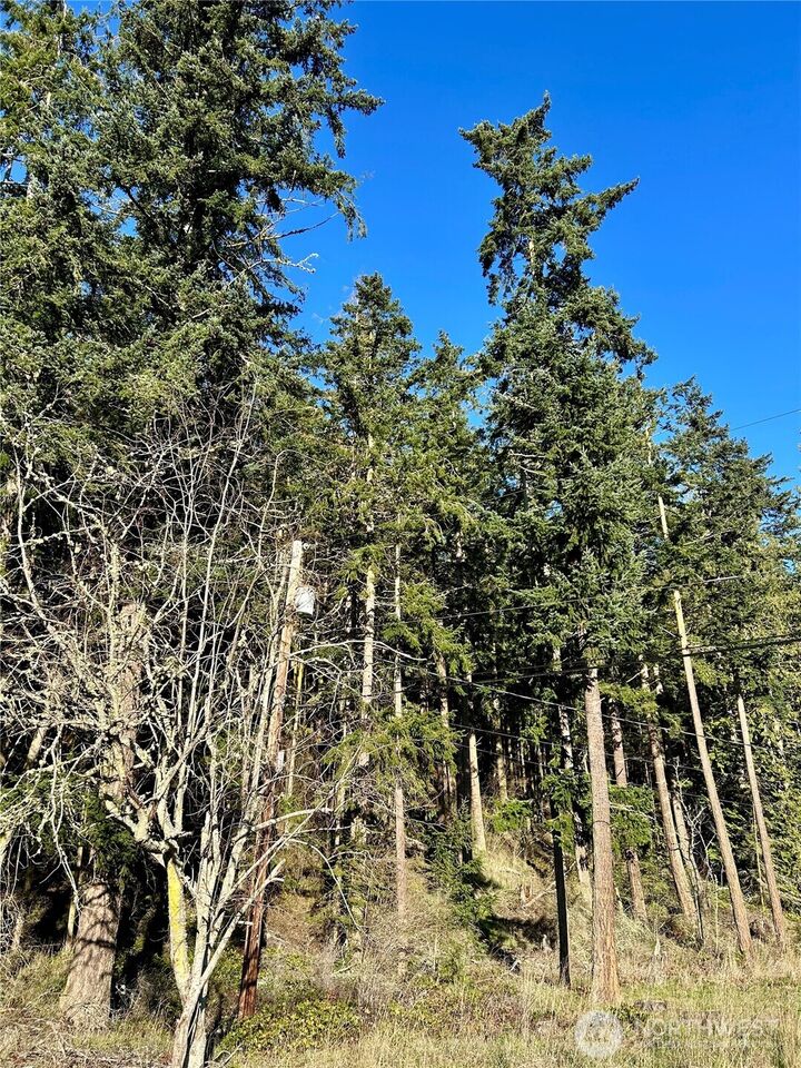 Property Photo: 55 Vancouver Place WA 98368