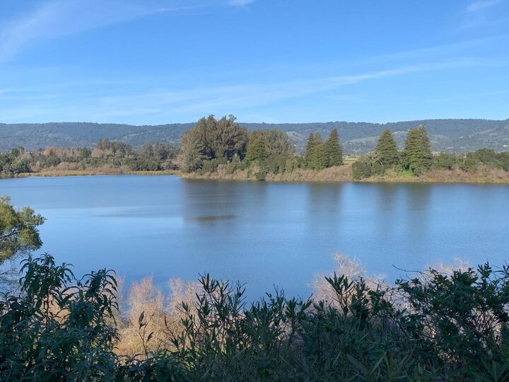 Property Photo:  145 Bencich Lane  CA 95076 