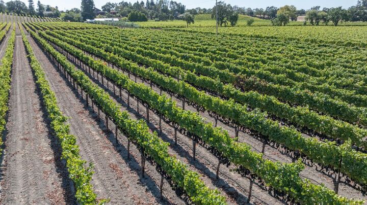 Property Photo:  3000 River Road  CA 95492 