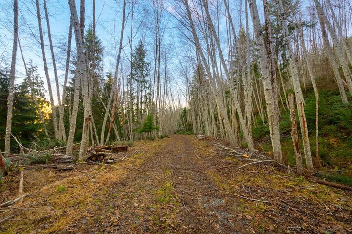Property Photo:  1049 Grafton Road  BC V0N 1G2 