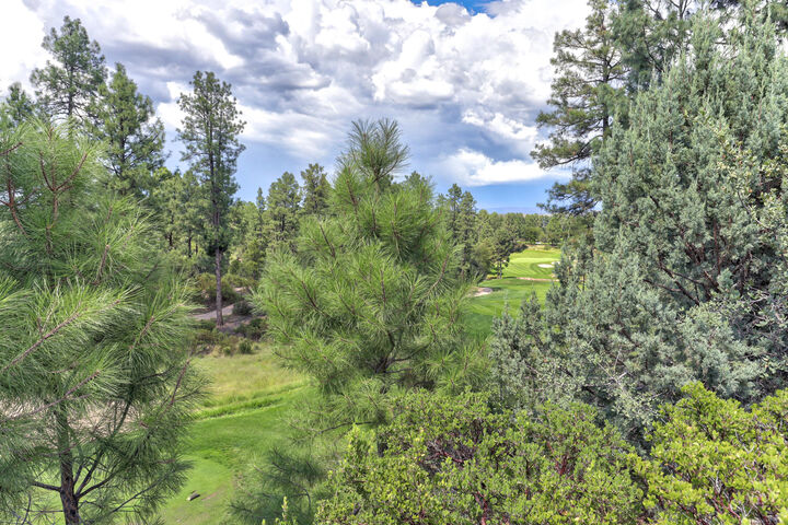 Property Photo: 2502 E Grapevine Drive AZ 85541